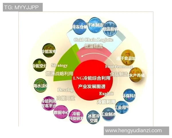 深度解析LNG转换策略及其在能源市场中的应用与前景